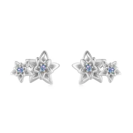 Silver Flower Stud Earrings - Poinsettia