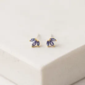 Tiara Stud Earrings